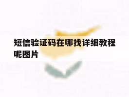 短信验证码在哪找详细教程呢图片