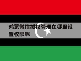 鸿蒙微信授权管理在哪里设置权限呢
