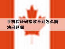 手机验证码接收不到怎么解决问题呢