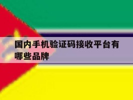 国内手机验证码接收平台有哪些品牌