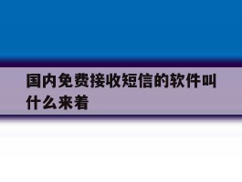 国内免费接收短信的软件叫什么来着