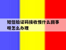 短信验证码接收慢什么回事呀怎么办理