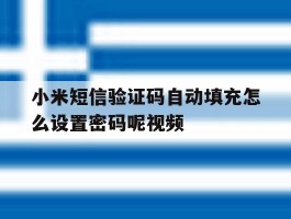 小米短信验证码自动填充怎么设置密码呢视频
