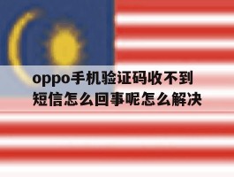 oppo手机验证码收不到短信怎么回事呢怎么解决的简单介绍