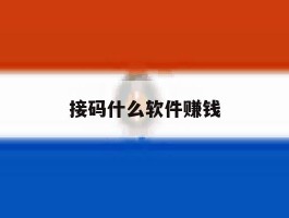 接码什么软件赚钱