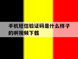 手机短信验证码是什么样子的啊视频下载