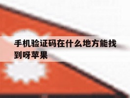 手机验证码在什么地方能找到呀苹果