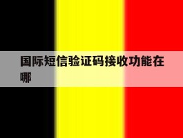 国际短信验证码接收功能在哪