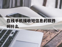 在线手机接收短信息的软件叫什么