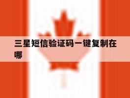 三星短信验证码一键复制在哪