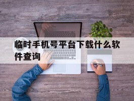 临时手机号平台下载什么软件查询