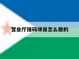 营业厅接码项目怎么做的