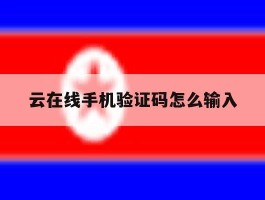 云在线手机验证码怎么输入