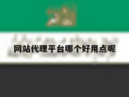 网站代理平台哪个好用点呢