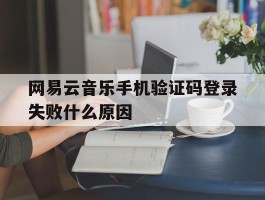 网易云音乐手机验证码登录失败什么原因