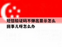 短信验证码不弹出显示怎么回事儿呀怎么办