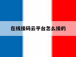 在线接码云平台怎么接的