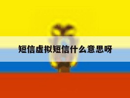 短信虚拟短信什么意思呀