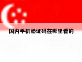 国内手机验证码在哪里看的
