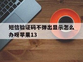 短信验证码不弹出显示怎么办呀苹果13