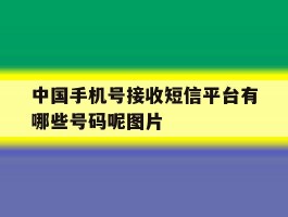 包含中国手机号接收短信平台有哪些号码呢图片的词条