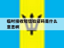 临时接收短信验证码是什么意思啊