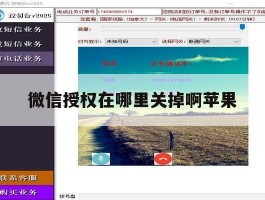 微信授权在哪里关掉啊苹果