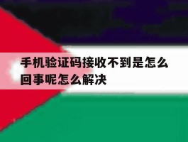 手机验证码接收不到是怎么回事呢怎么解决的简单介绍