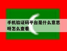 手机验证码平台是什么意思呀怎么查看