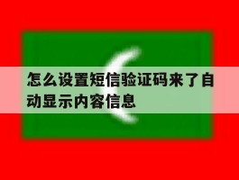 怎么设置短信验证码来了自动显示内容信息