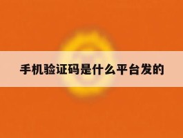 手机验证码是什么平台发的
