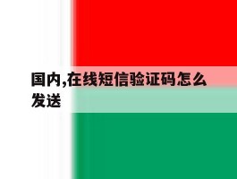 国内,在线短信验证码怎么发送