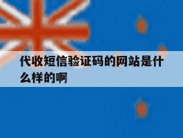 代收短信验证码的网站是什么样的啊
