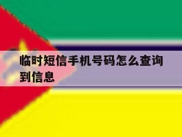 临时短信手机号码怎么查询到信息