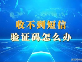 网络短信接收验证码免费版网页打不开怎么办呢的简单介绍
