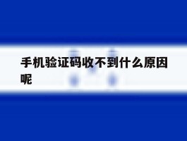 手机验证码收不到什么原因呢
