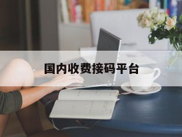 国内收费接码平台