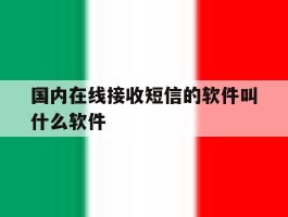 国内在线接收短信的软件叫什么软件