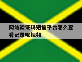 网站验证码短信平台怎么查看记录呢视频