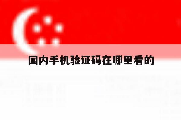 国内手机验证码在哪里看的 国内手机验证码在哪里看的