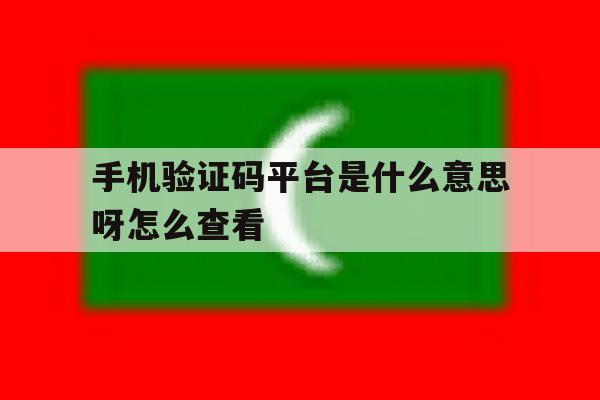 手机验证码平台是什么意思呀怎么查看 手机验证码平台是什么意思呀怎么查看