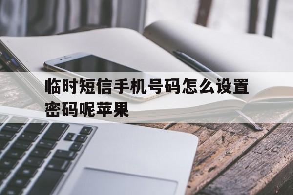 临时短信手机号码怎么设置密码呢苹果 临时短信手机号码怎么设置密码呢苹果