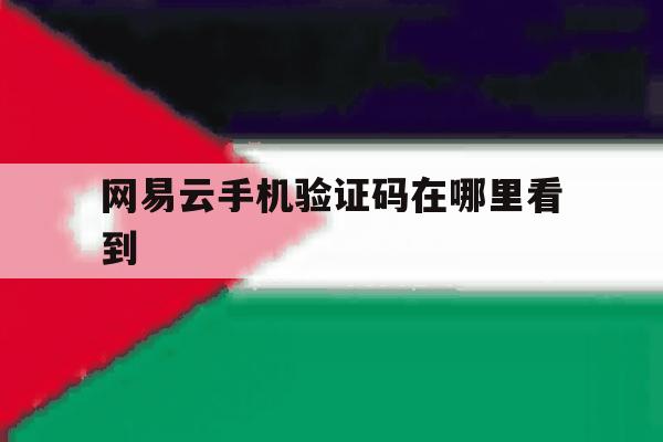 网易云手机验证码在哪里看到 网易云手机验证码在哪里看到