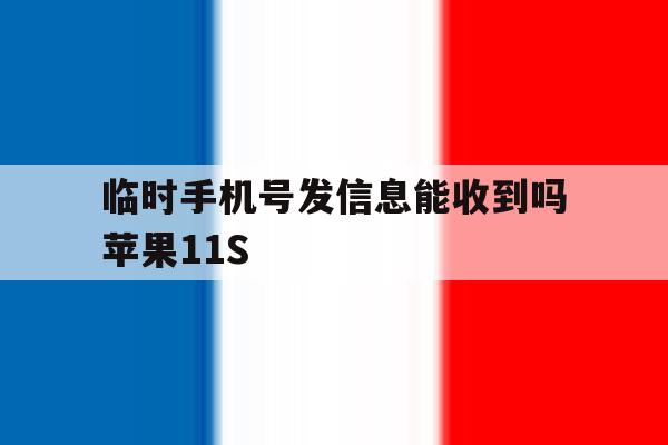 临时手机号发信息能收到吗苹果11S的简单介绍 临时手机号发信息能收到吗苹果11S的简单介绍