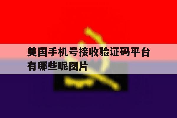 美国手机号接收验证码平台有哪些呢图片的简单介绍 美国手机号接收验证码平台有哪些呢图片的简单介绍