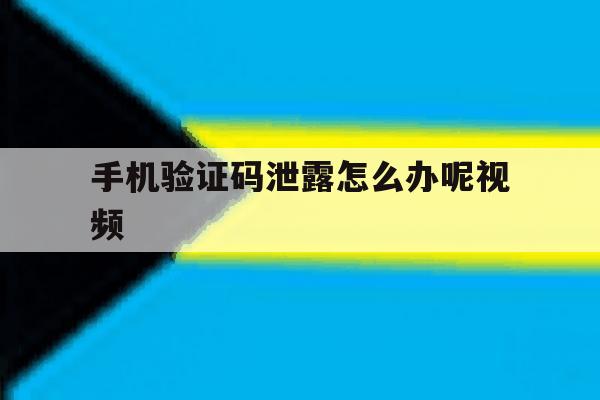 手机验证码泄露怎么办呢视频 手机验证码泄露怎么办呢视频