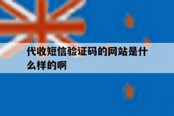 代收短信验证码的网站是什么样的啊 代收短信验证码的网站是什么样的啊
