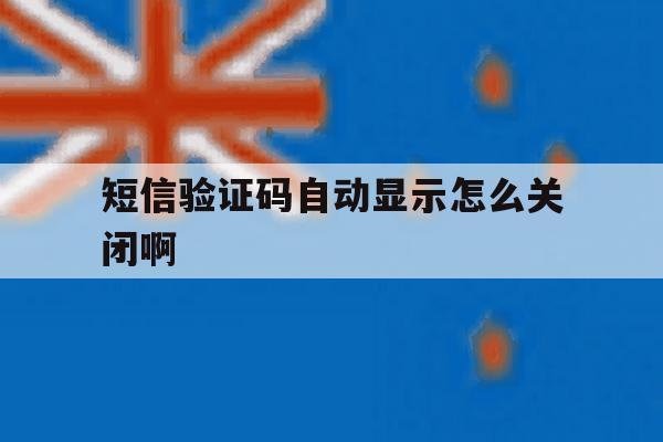 短信验证码自动显示怎么关闭啊 短信验证码自动显示怎么关闭啊