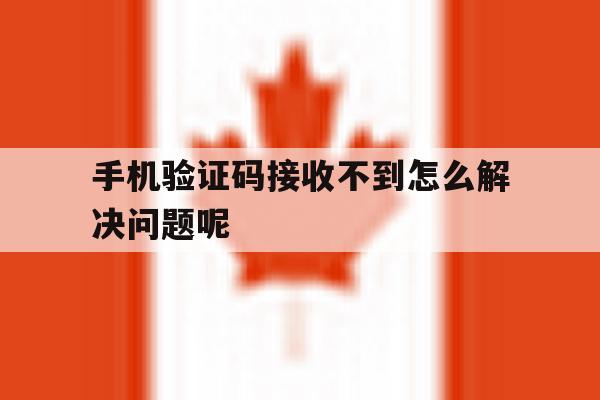 手机验证码接收不到怎么解决问题呢 手机验证码接收不到怎么解决问题呢