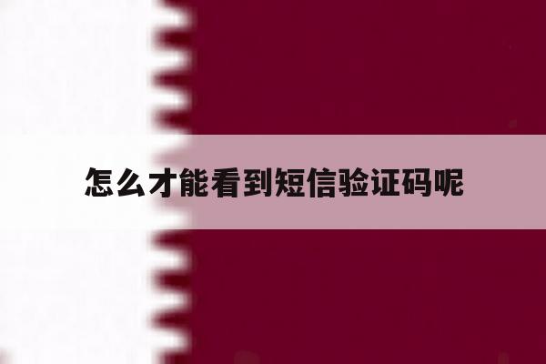 怎么才能看到短信验证码呢 怎么才能看到短信验证码呢